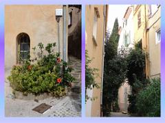 183 D24 BORMES LES MIMOSAS 2_000005